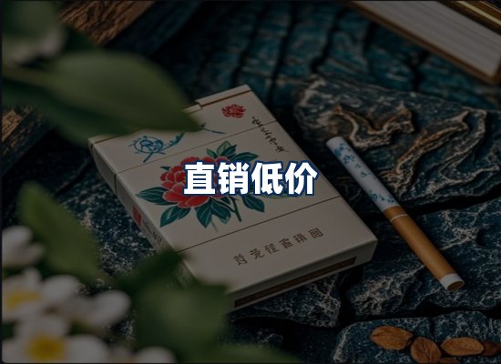 专业团队办公环境